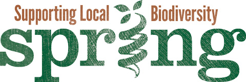 spring logo